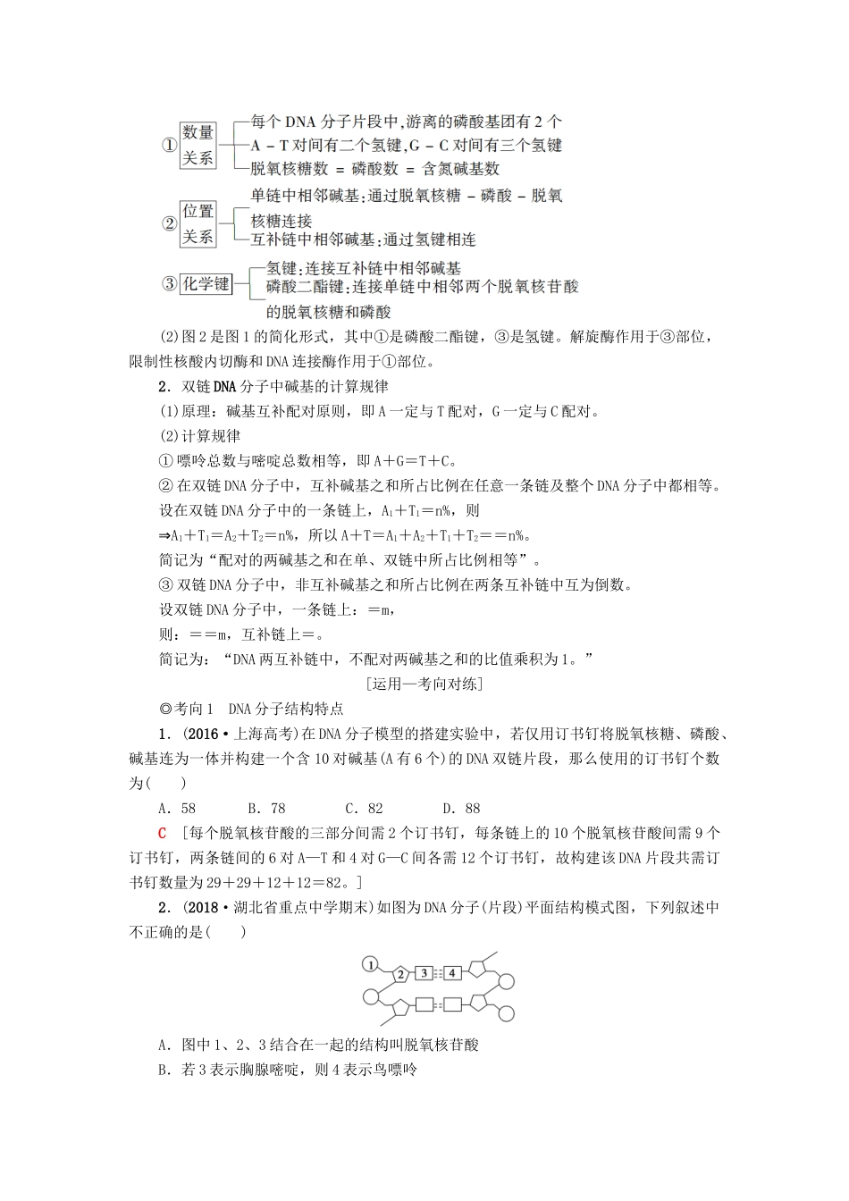 高考生物一轮复习 第6单元 遗传的分子基础 第2讲 DNA分子的结构、复制与基因的本质学案 苏教版-苏教版高三全册生物学案_第3页