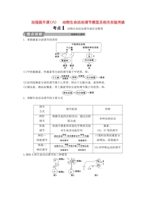 高考生物一轮复习 第八单元 生命活动的调节 加强提升课（六）动物生命活动调节模型及相关实验突破学案-人教版高三全册生物学案
