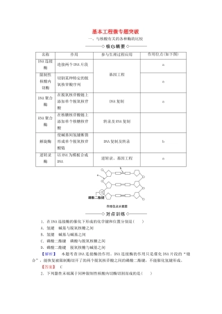 高中生物 第1章 基本工程微专题突破学案 苏教版选修3-苏教版高中选修3生物学案
