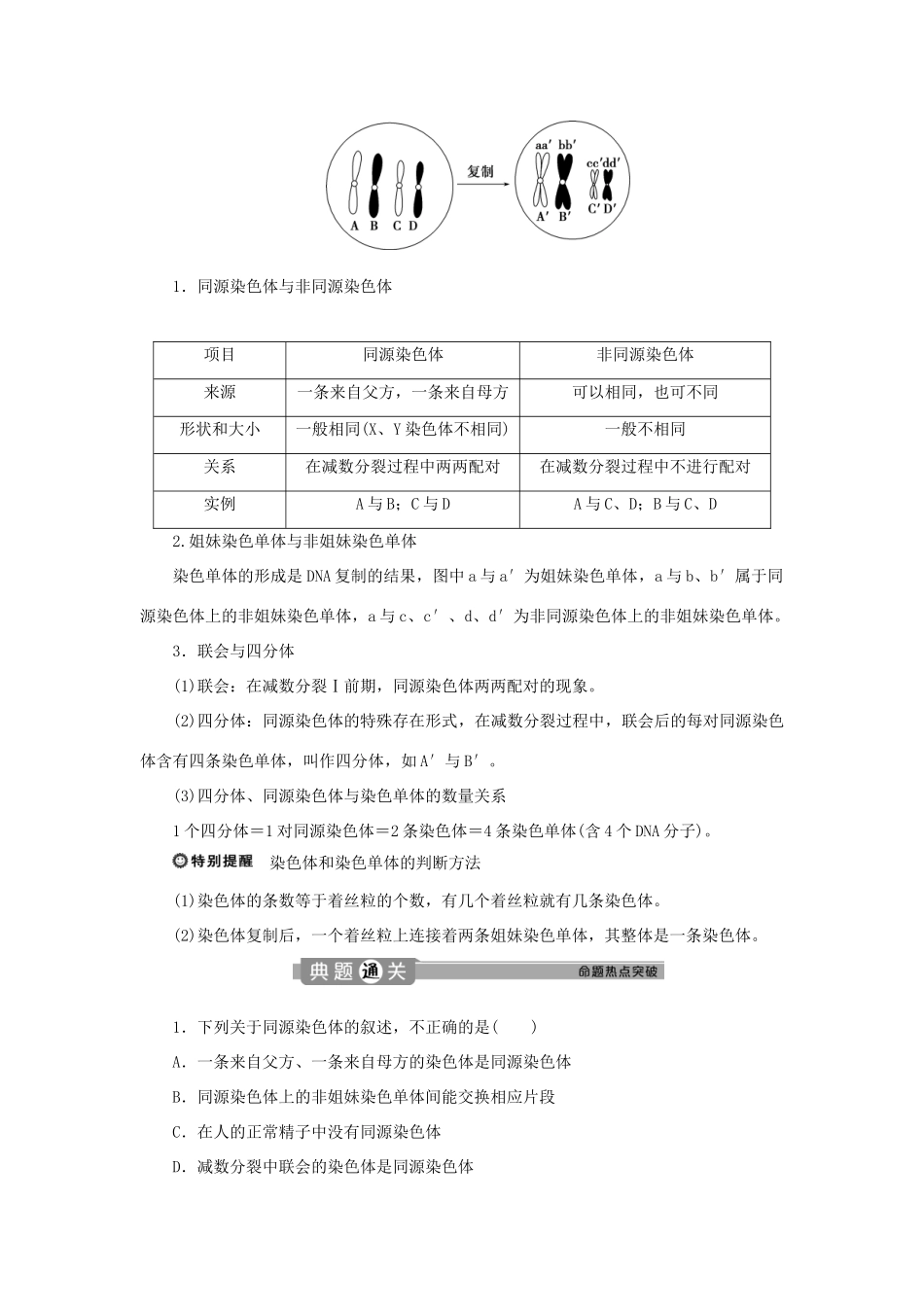 高中生物 第2章 基因和染色体的关系 第1节 减数分裂和受精作用（Ⅰ）学案 新人教版必修第二册-新人教版高一第二册生物学案_第3页