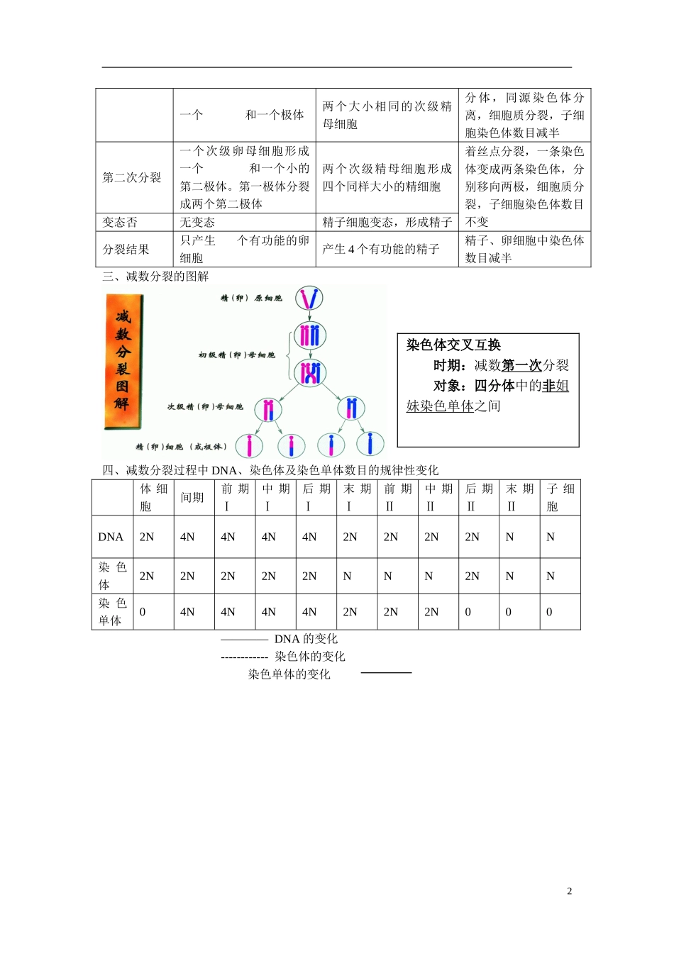 高中生物 第2章　基因和染色体的关系第1节《减数分裂和受精作用》第二课时参考学案 新人教版必修2_第2页