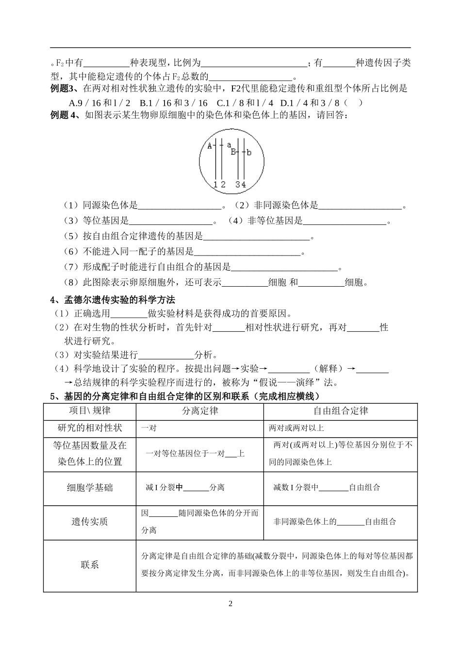 高二生物学业水平测试复习教学案新人教版必修2_第2页