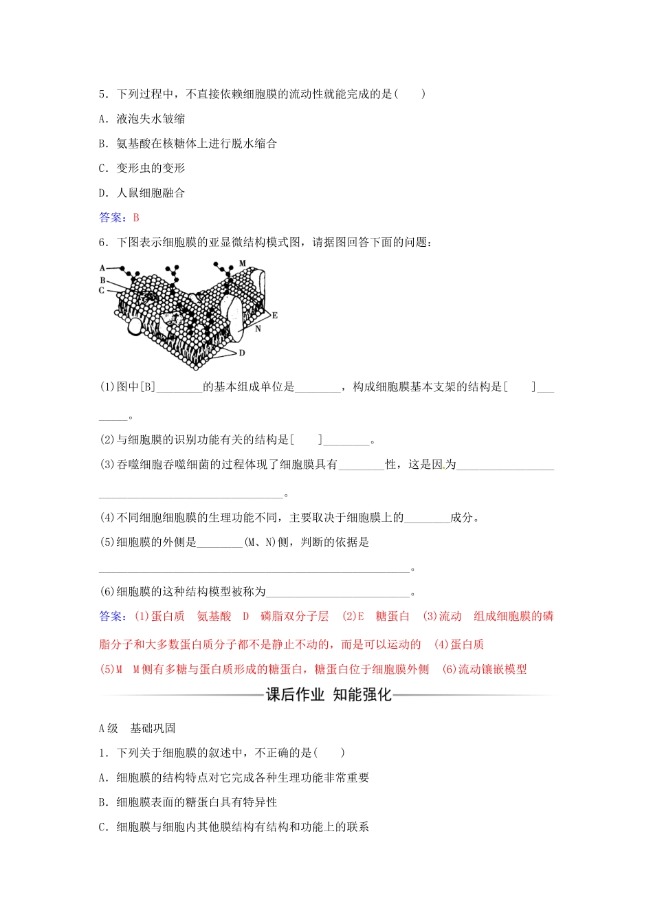 高中生物 第4章 第2节 生物膜的流动镶嵌模型练习 新人教版必修1-新人教版高一必修1生物学案_第2页