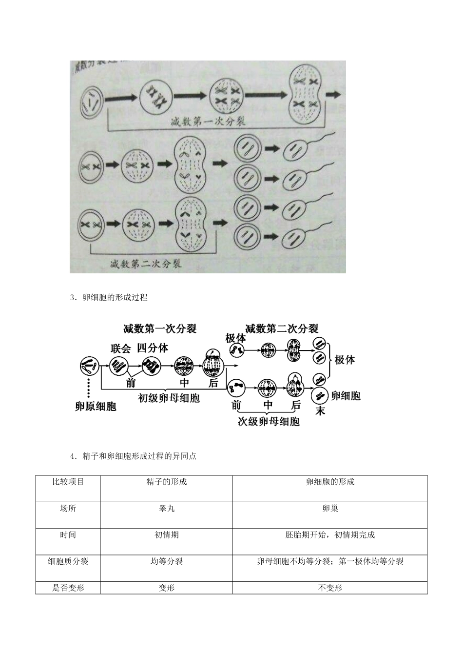 （全国通用）高考生物总复习《减数分裂和受精作用》专题突破学案-人教版高三全册生物学案_第2页