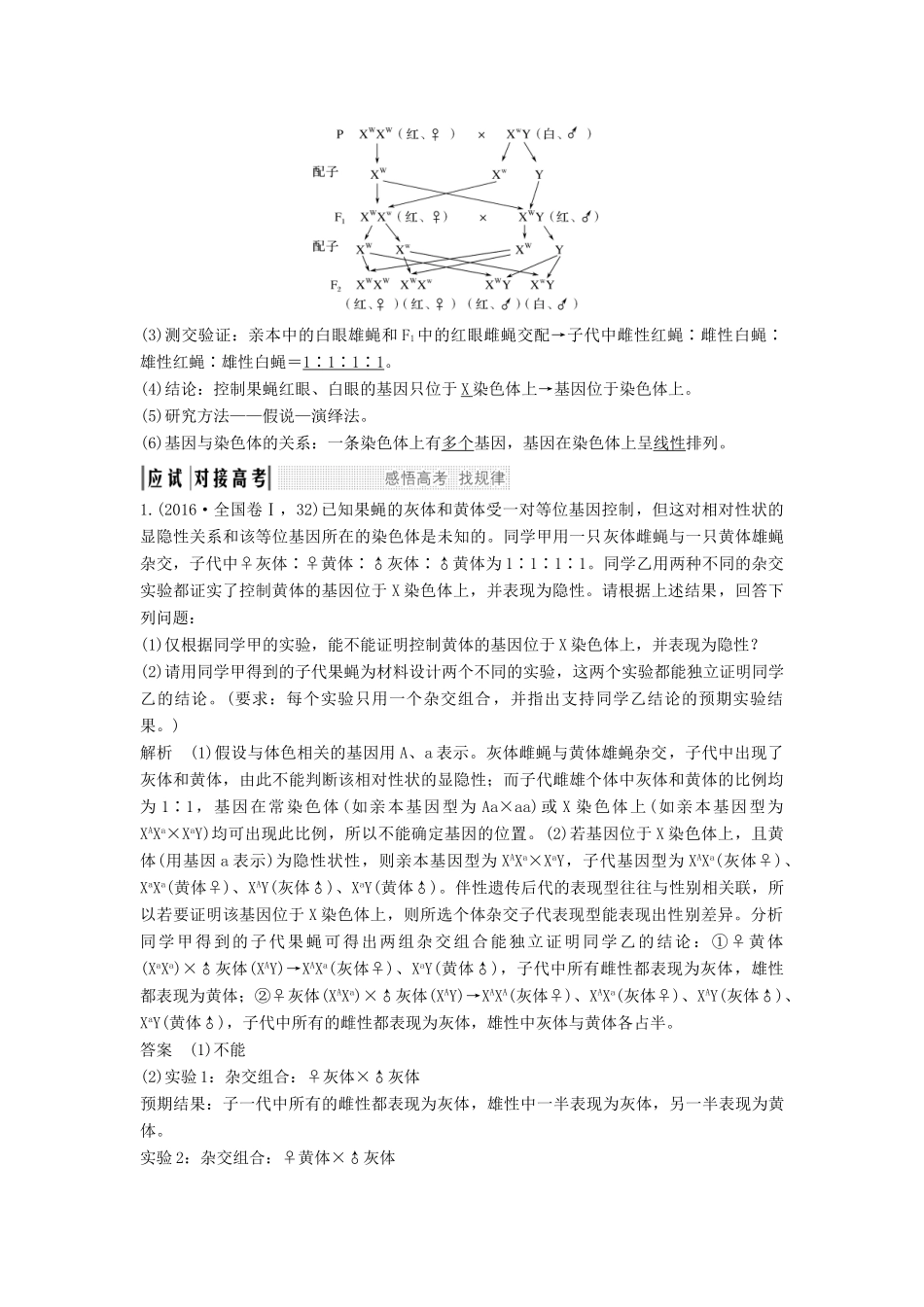 （江苏专用）高考生物大一轮复习 第5单元 遗传的基础规律 第16讲 伴性遗传和人类遗传病学案-人教版高三全册生物学案_第2页