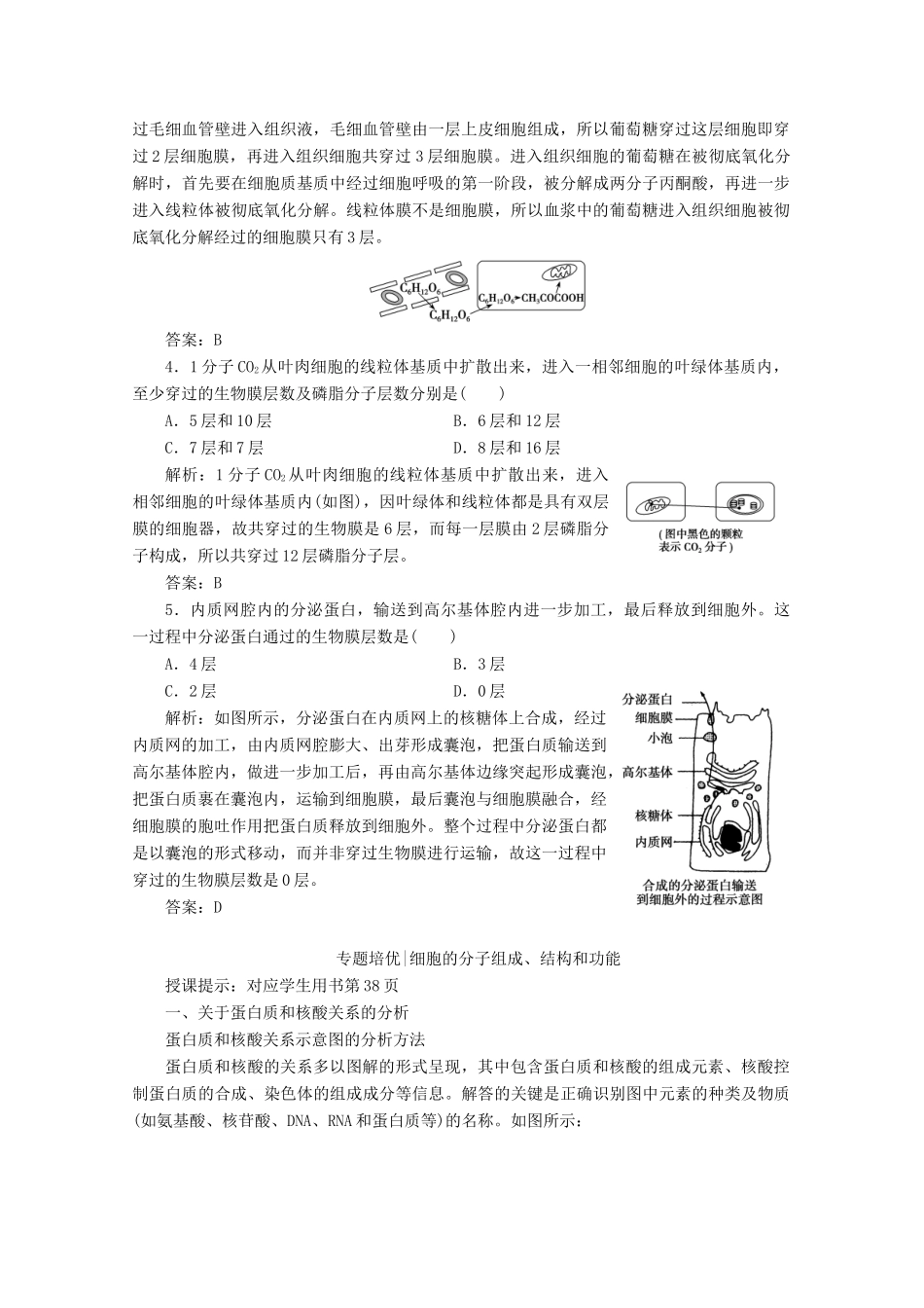 高考生物一轮复习 第二单元 细胞的基本结构和物质运输 微讲座 物质跨膜运输跨膜层数分析学案 新人教版-新人教版高三全册生物学案_第3页