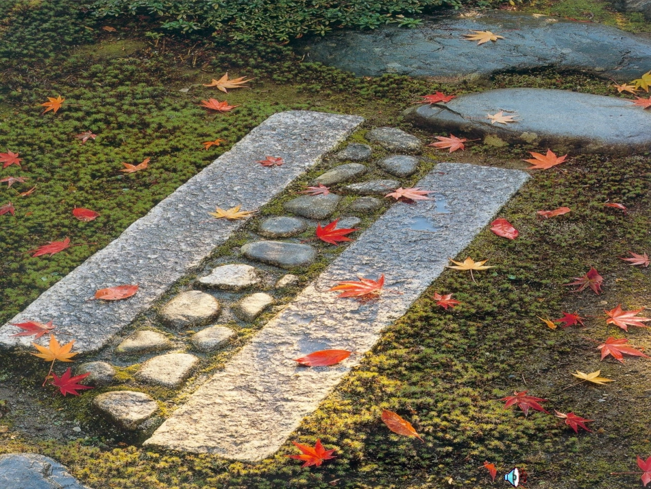 听听_秋的声音PPT课件_第2页