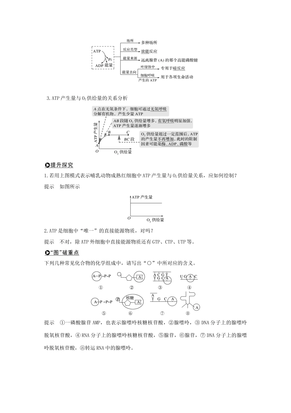 高考生物一轮复习 第三单元 细胞的能量供应和利用 第9讲 ATP与细胞呼吸学案-人教版高三全册生物学案_第2页