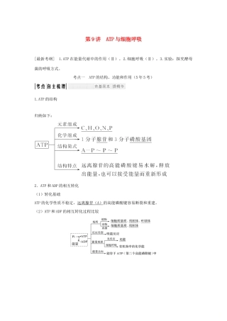 高考生物一轮复习 第三单元 细胞的能量供应和利用 第9讲 ATP与细胞呼吸学案-人教版高三全册生物学案