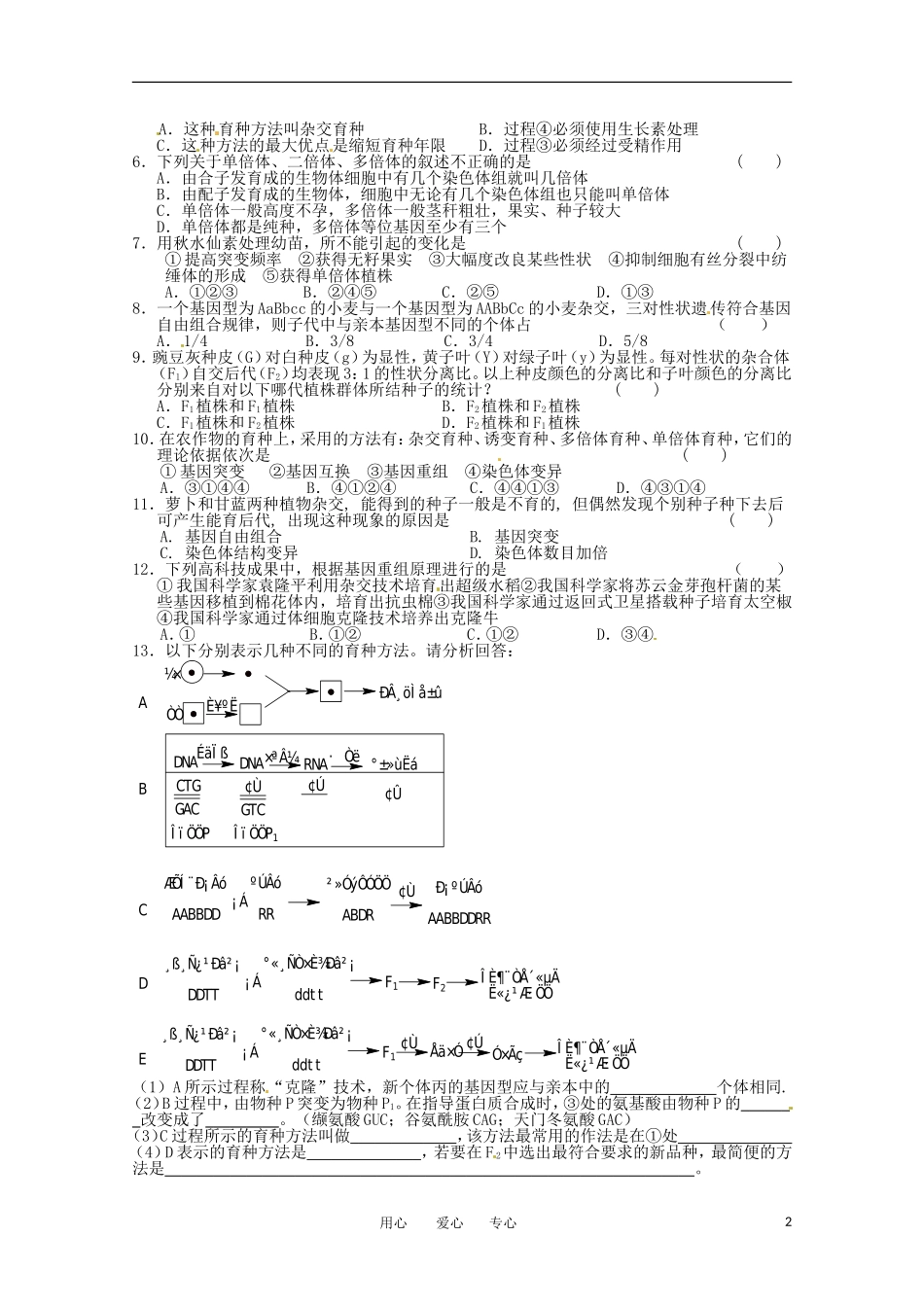 高中生物 6.1《杂交育种与诱变育种》学案（2） 新人教版必修2_第2页