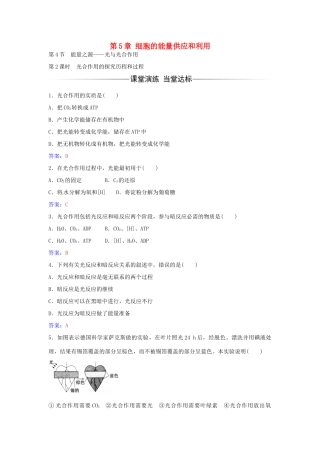 高中生物 第5章 第4节 光合作用的探究历程和过程（第2课时）练习 新人教版必修1-新人教版高一必修1生物学案
