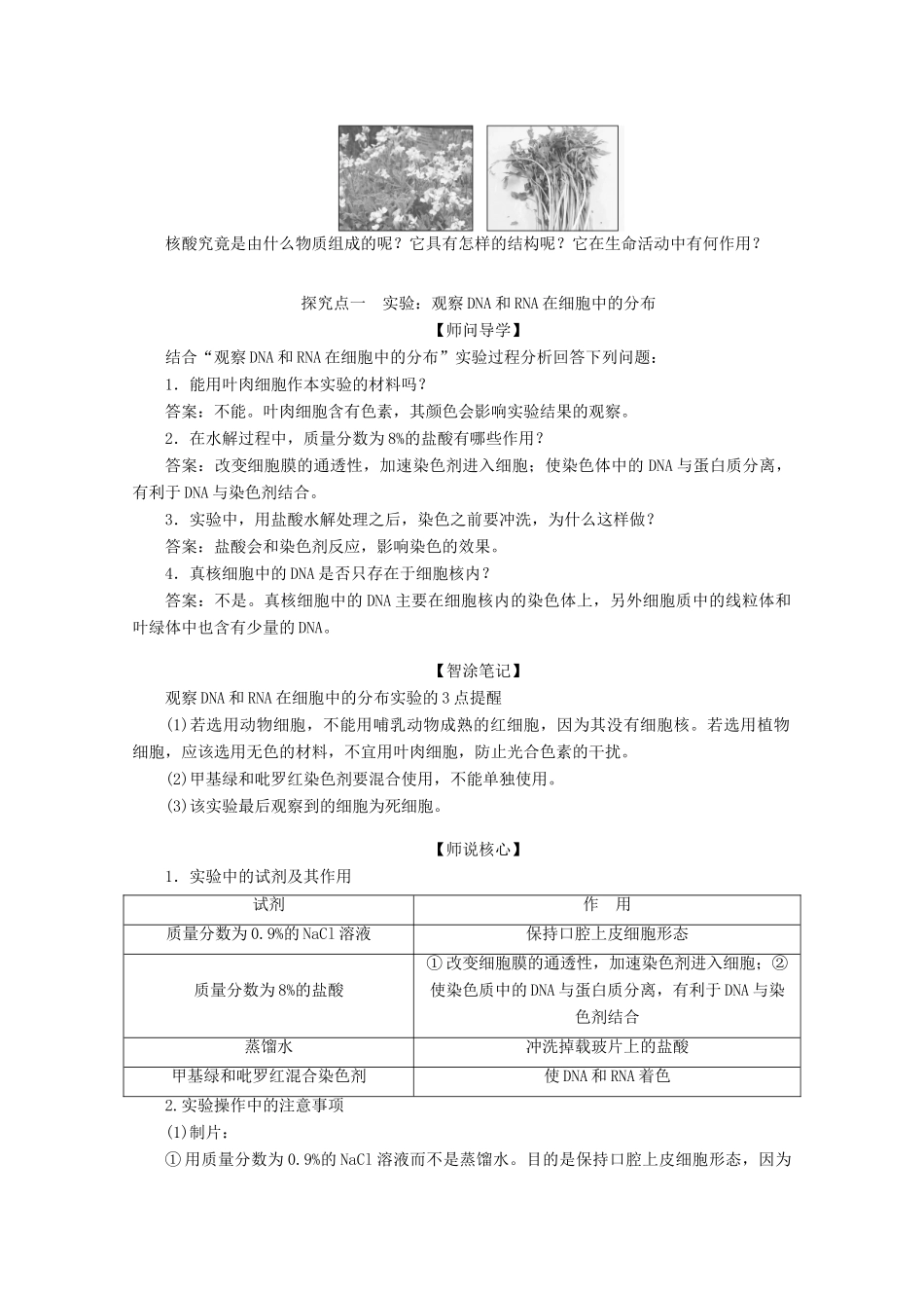高中生物 2.3 遗传信息的携带者——核酸学案 新人教版必修1-新人教版高中必修1生物学案_第3页