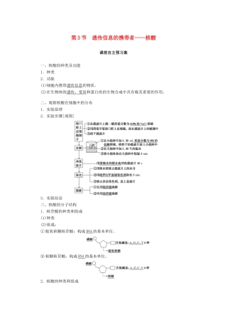 高中生物 2.3 遗传信息的携带者——核酸学案 新人教版必修1-新人教版高中必修1生物学案