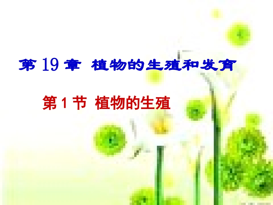 示范课-植物的生殖_第3页