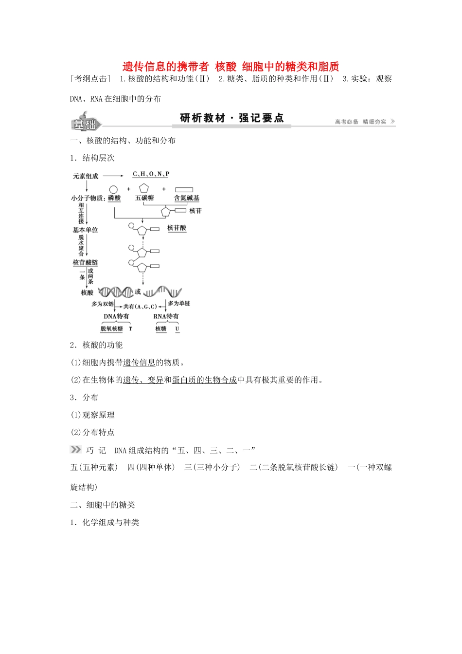 高考生物总复习 第1单元 第4讲 遗传信息的携带者学案-人教版高三全册生物学案_第1页