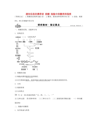 高考生物总复习 第1单元 第4讲 遗传信息的携带者学案-人教版高三全册生物学案