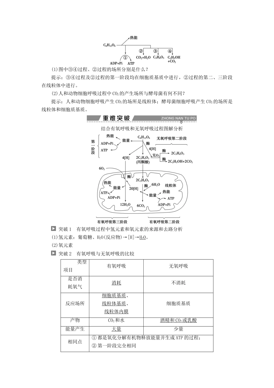 （全国）高考生物大一轮复习 第三单元 细胞的能量供应和利用 第9讲 ATP的主要来源——细胞呼吸学案-人教版高三全册生物学案_第2页