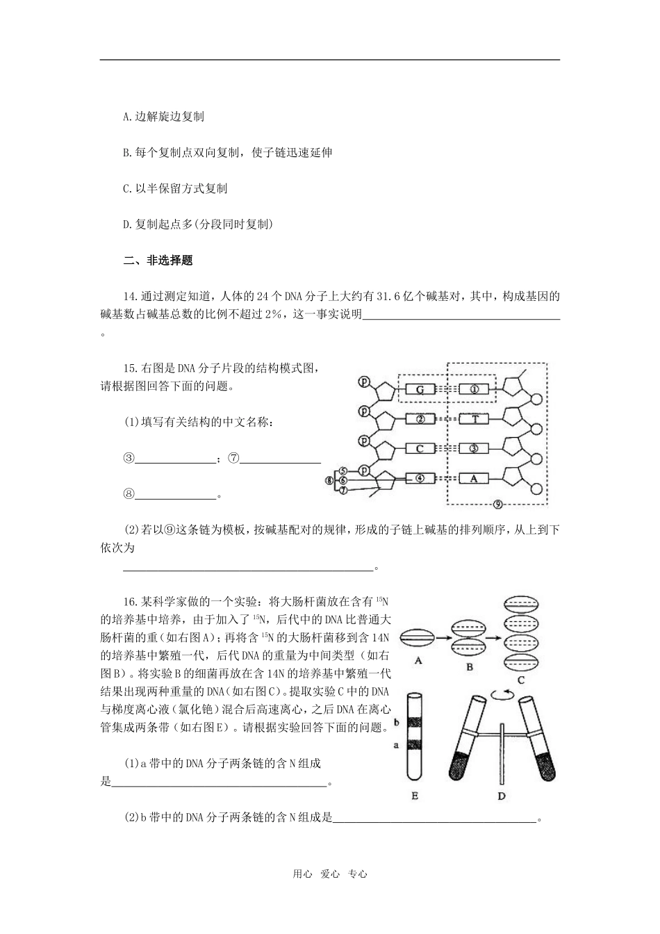 第3章　基因的本质　能力拓展_第3页