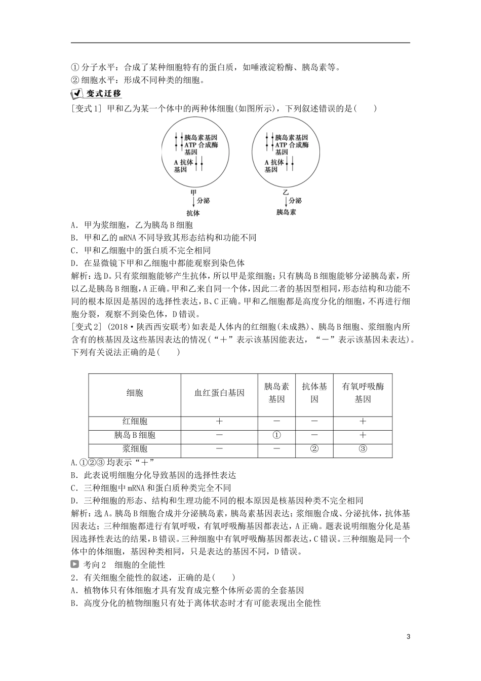 高考生物一轮复习 第四单元 细胞的生命历程 第14讲 细胞的分化、衰老、凋亡及癌变学案-人教版高三全册生物学案_第3页