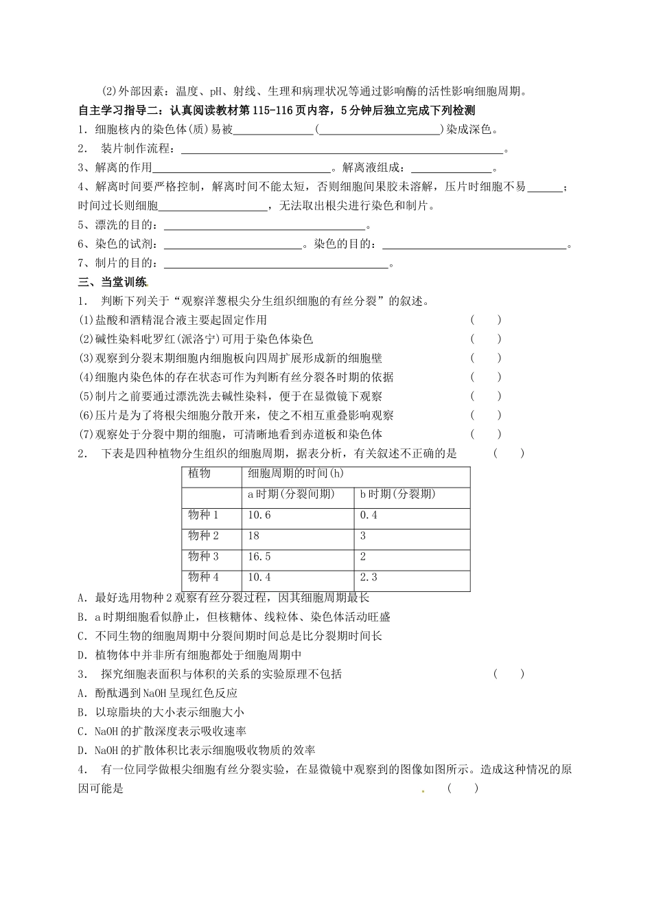 高三生物 细胞增殖复习学案-人教版高三全册生物学案_第2页