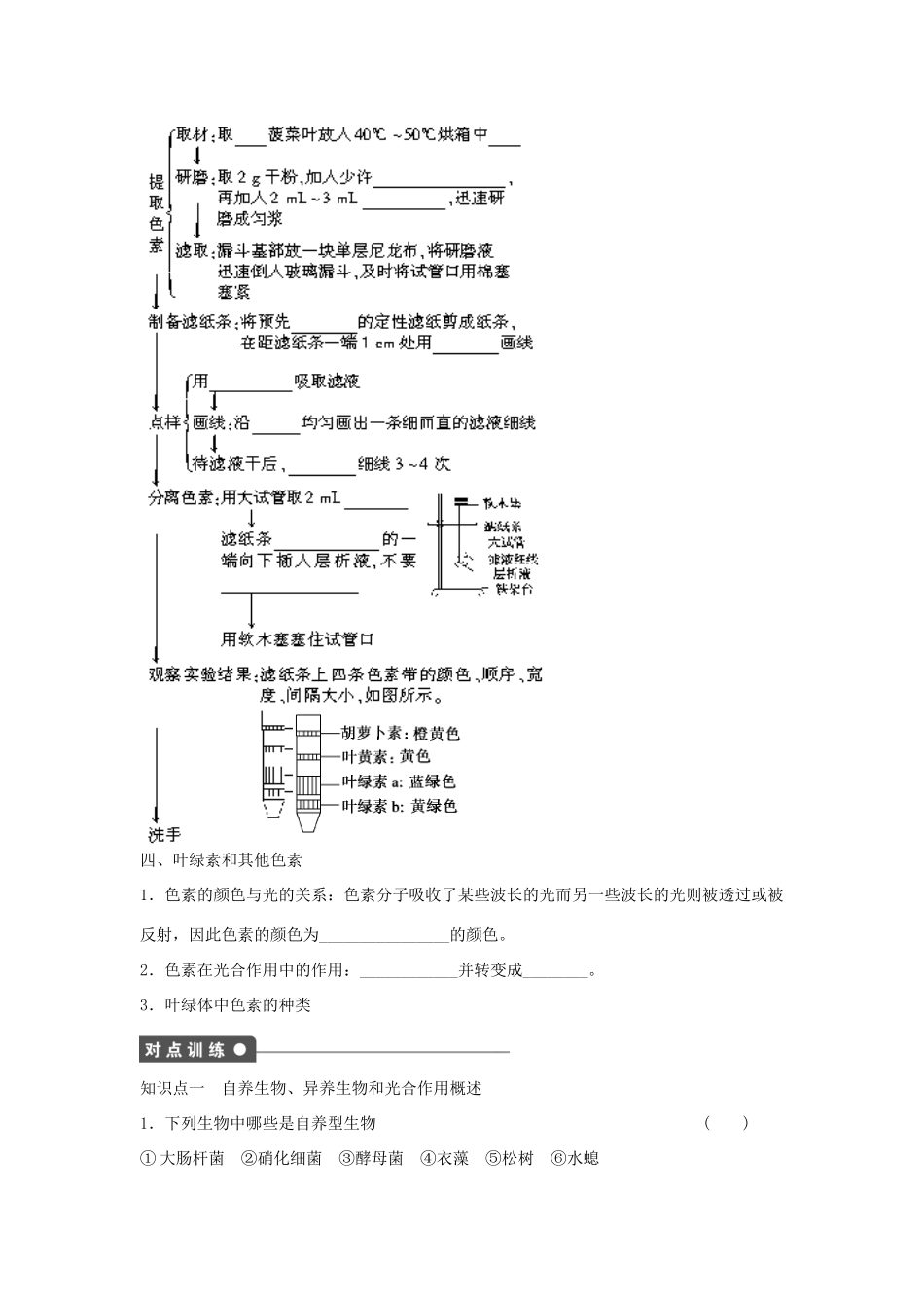 高中生物 第3章 第17课时 光合作用概述 光合色素的提取与分离课时作业 浙科版必修1-浙科版高一必修1生物学案_第2页