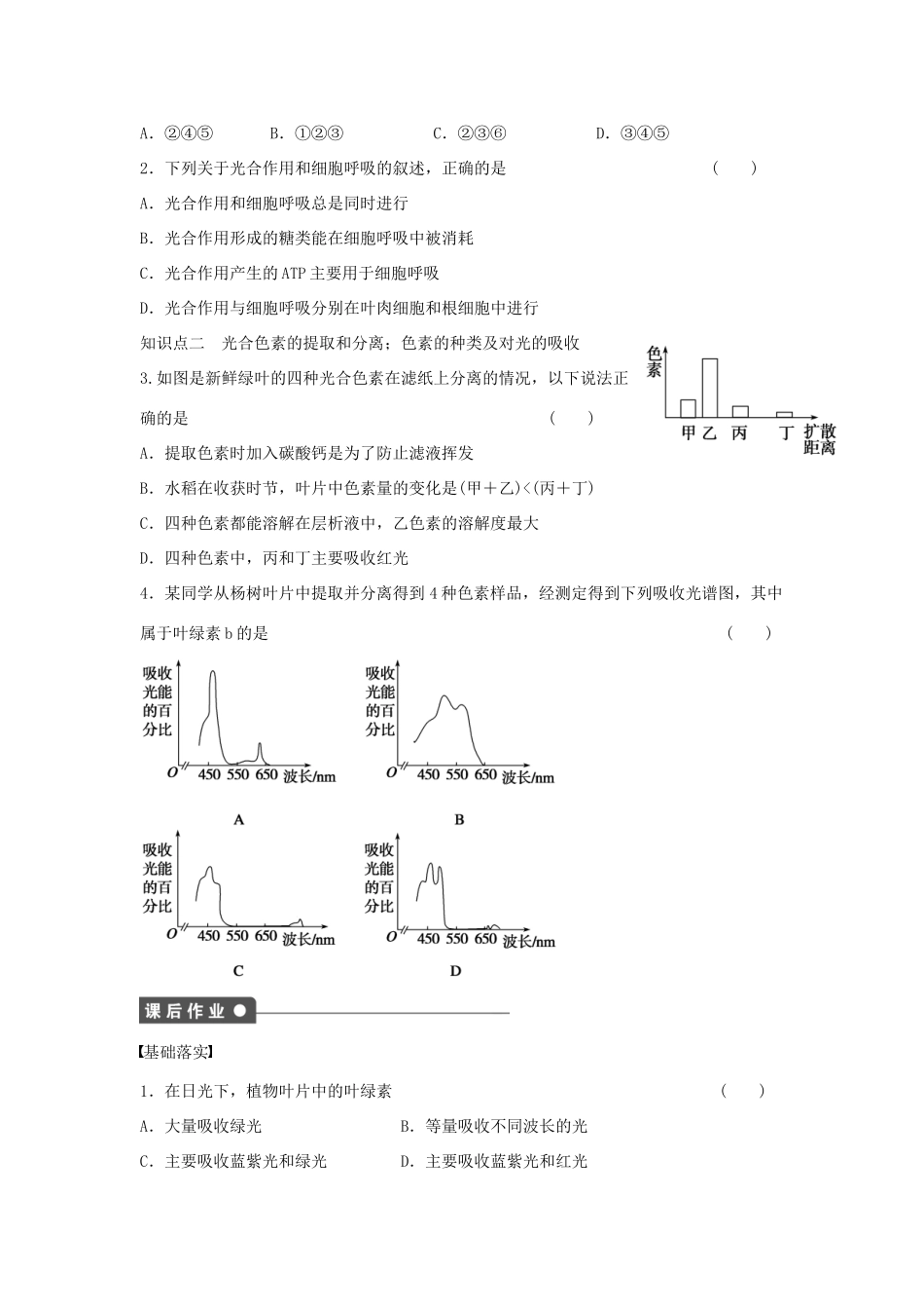 高中生物 第3章 第17课时 光合作用概述 光合色素的提取与分离课时作业 浙科版必修1-浙科版高一必修1生物学案_第3页