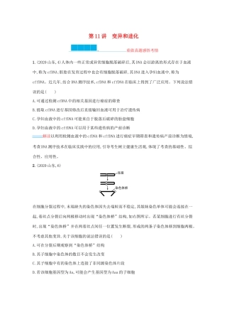 2021高考生物二轮复习 第11讲 变异和进化学案-人教版高三全册生物学案