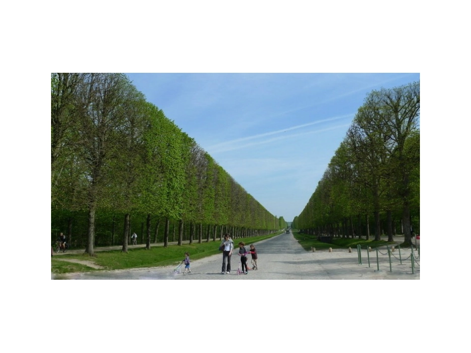 绝美的林荫大道_第2页