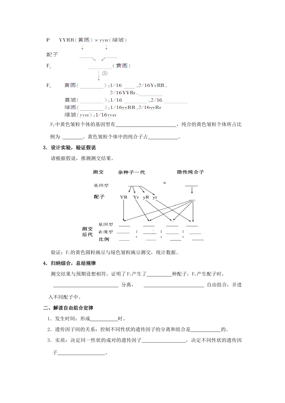 高考生物一轮复习《孟德尔的豌豆杂交实验二》学案（含解析）-人教版高三全册生物学案_第2页