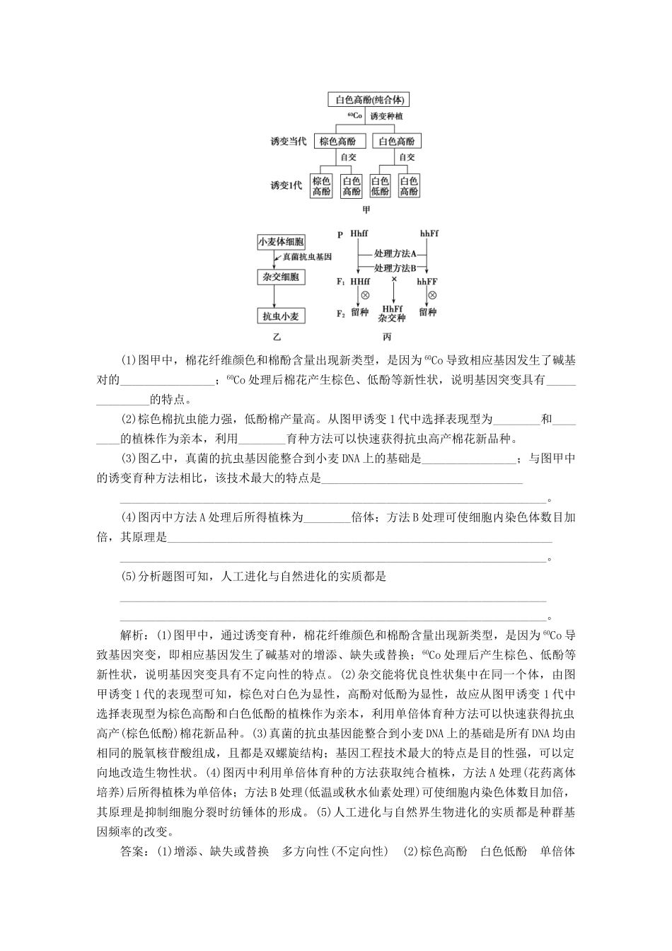 高考生物一轮复习 第七单元 生物的变异、育种与进化 微讲座 变异与育种学案 新人教版-新人教版高三全册生物学案_第2页