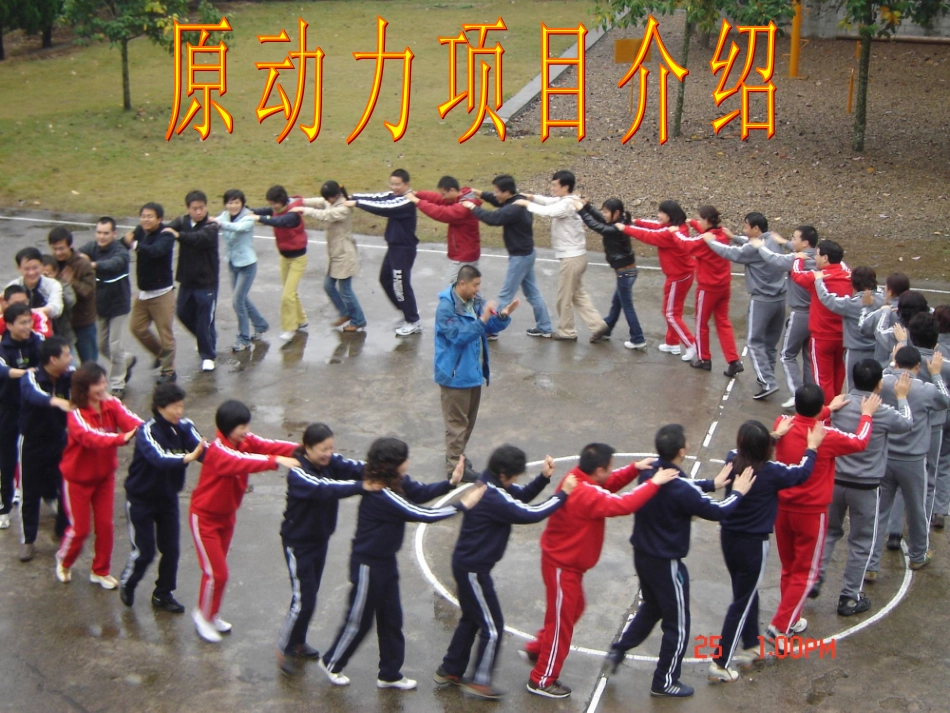 原动力项目简介（新）_第1页
