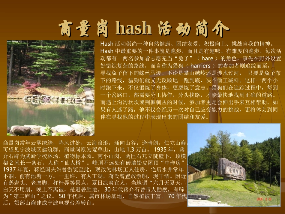 原动力项目简介（新）_第3页