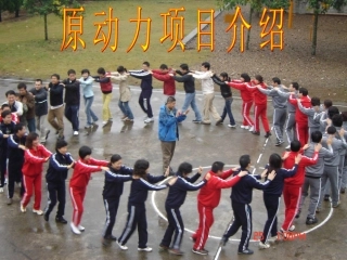 原动力项目简介（新）