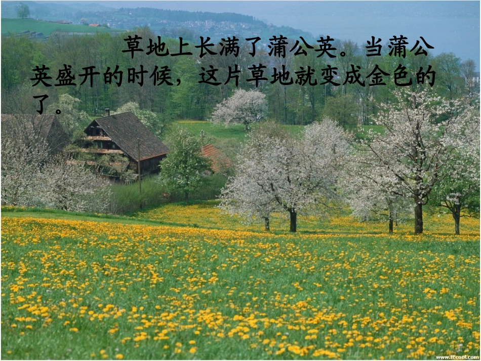 人教版三年级上册《金色的草地》PPT_第3页