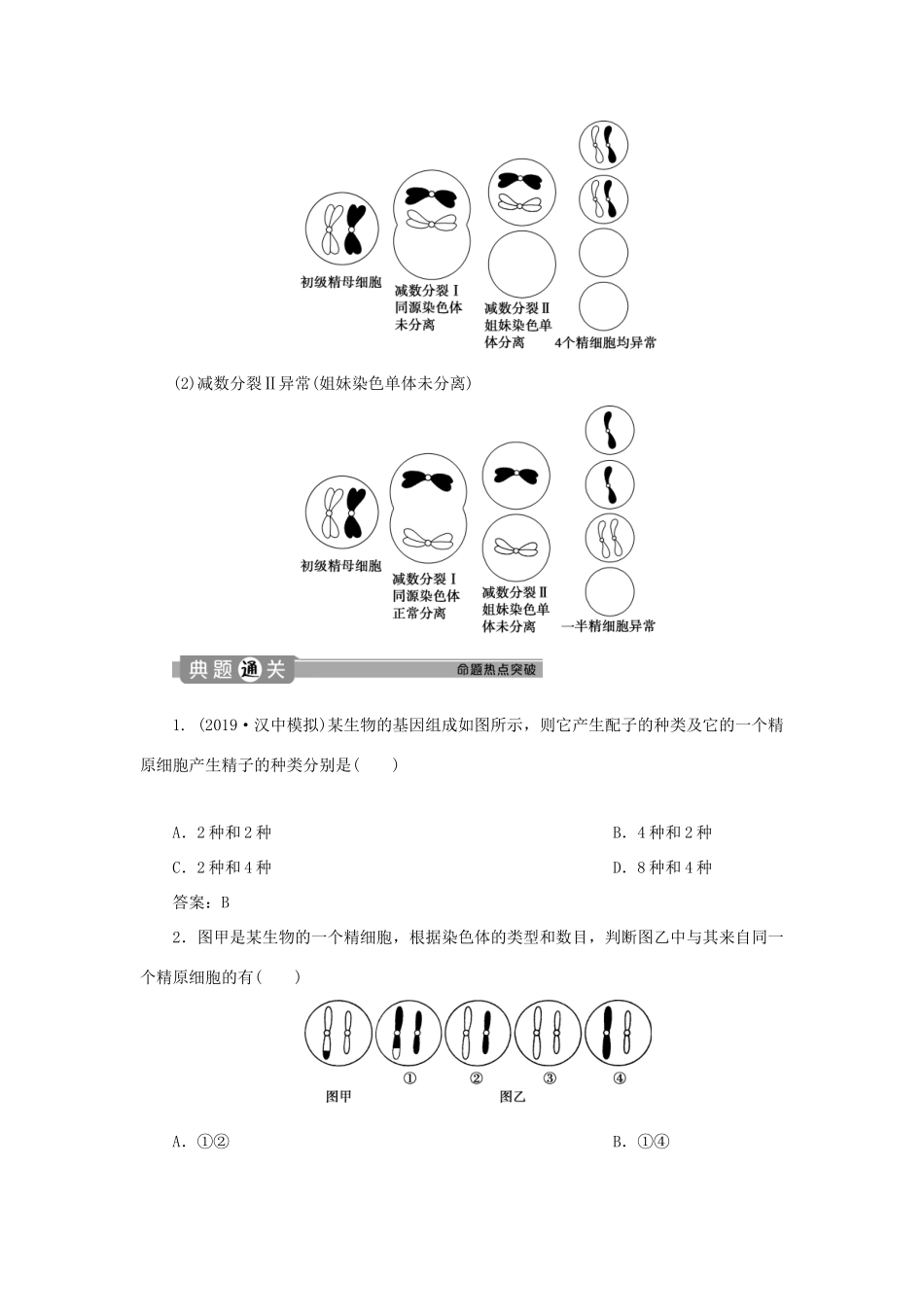 高中生物 第2章 基因和染色体的关系 第1节 减数分裂和受精作用（Ⅲ）学案 新人教版必修第二册-新人教版高一第二册生物学案_第3页