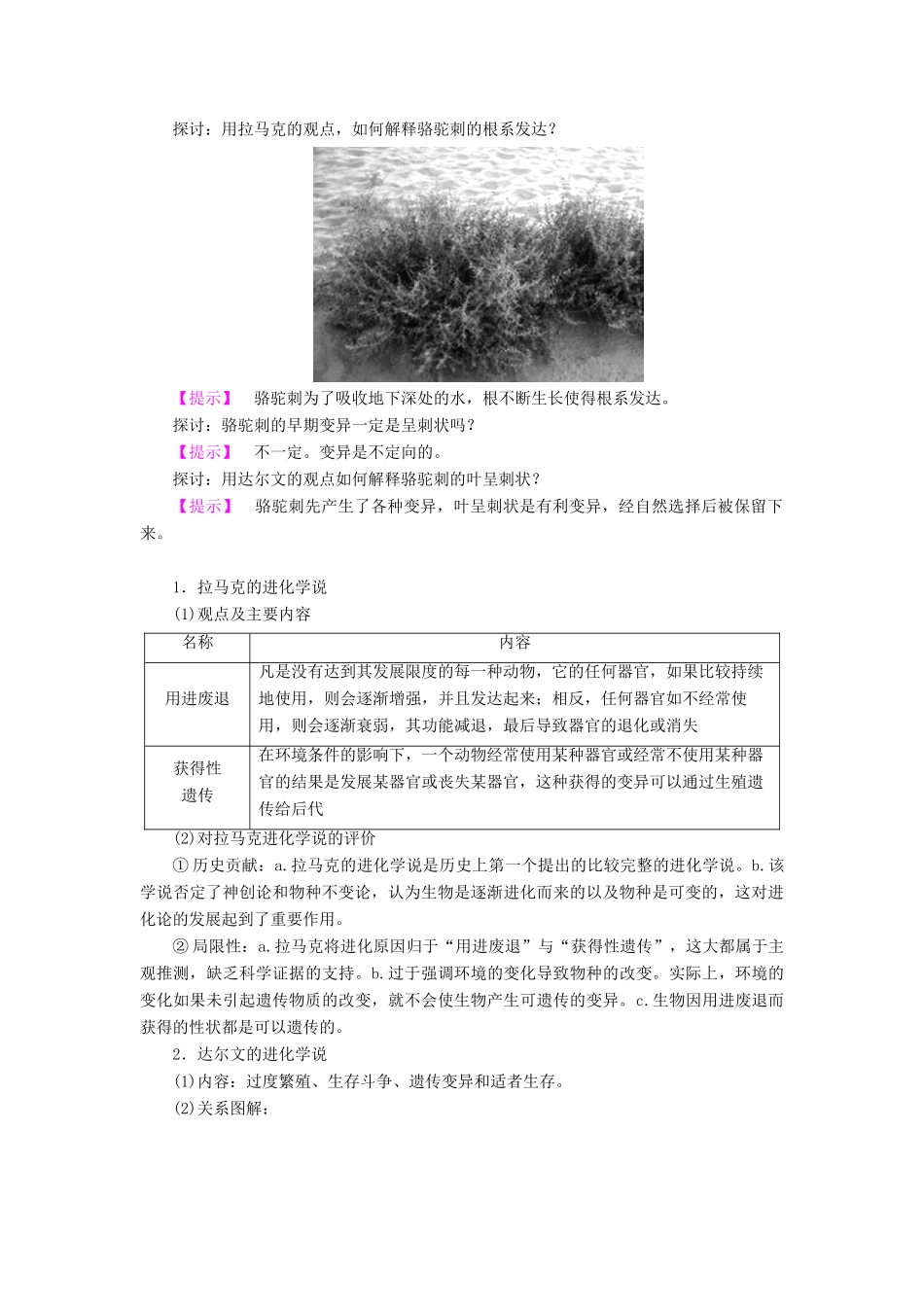 高中生物 第5章 生物的进化 第1节 生物进化理论学案 苏教版必修2-苏教版高二必修2生物学案_第2页