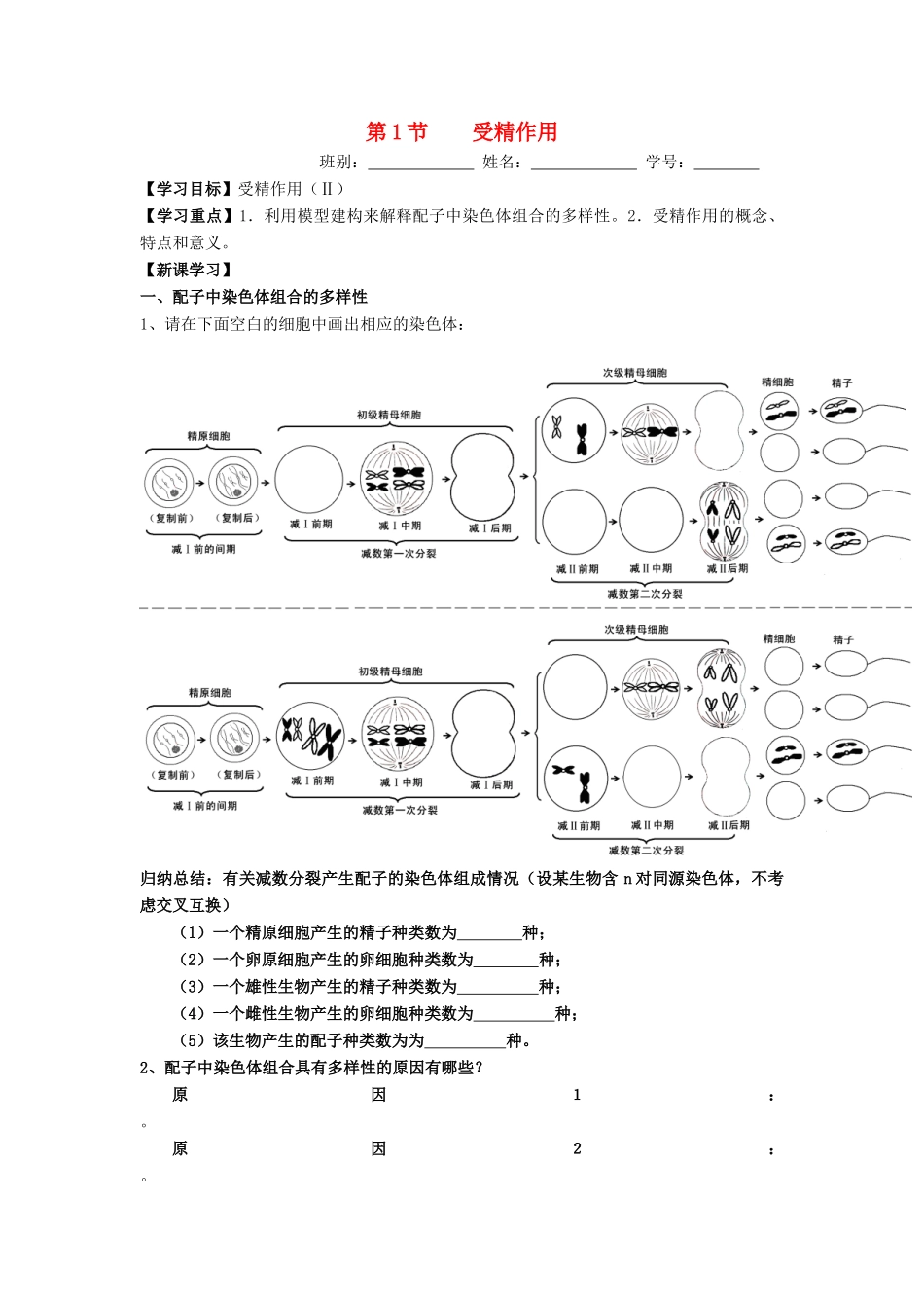 高中生物 第2章 基因和染色体的关系 第1节 受精作用导学案 新人教版必修2-新人教版高一必修2生物学案_第1页