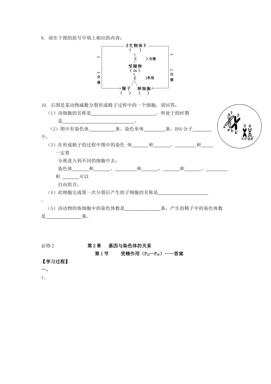 高中生物 第2章 基因和染色体的关系 第1节 受精作用导学案 新人教版必修2-新人教版高一必修2生物学案_第3页