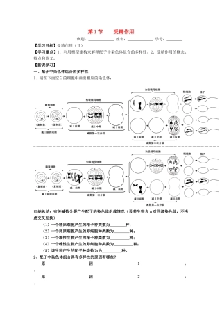 高中生物 第2章 基因和染色体的关系 第1节 受精作用导学案 新人教版必修2-新人教版高一必修2生物学案