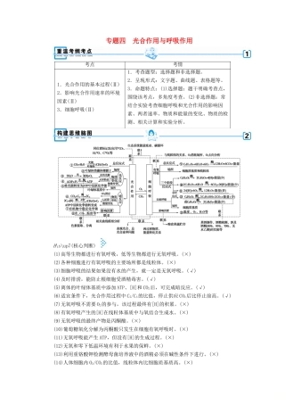 高考生物大二轮复习 专题四 光合作用与呼吸作用学案-人教版高三全册生物学案