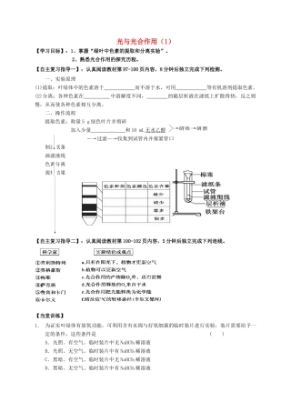 高三生物 光合作用复习学案1-人教版高三全册生物学案