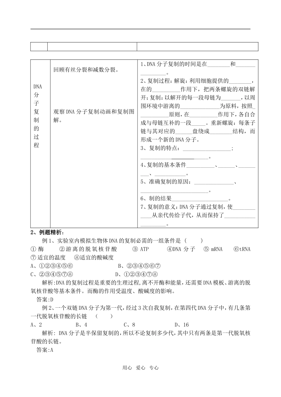 第09课时第三章第3节DNA的复制_第2页