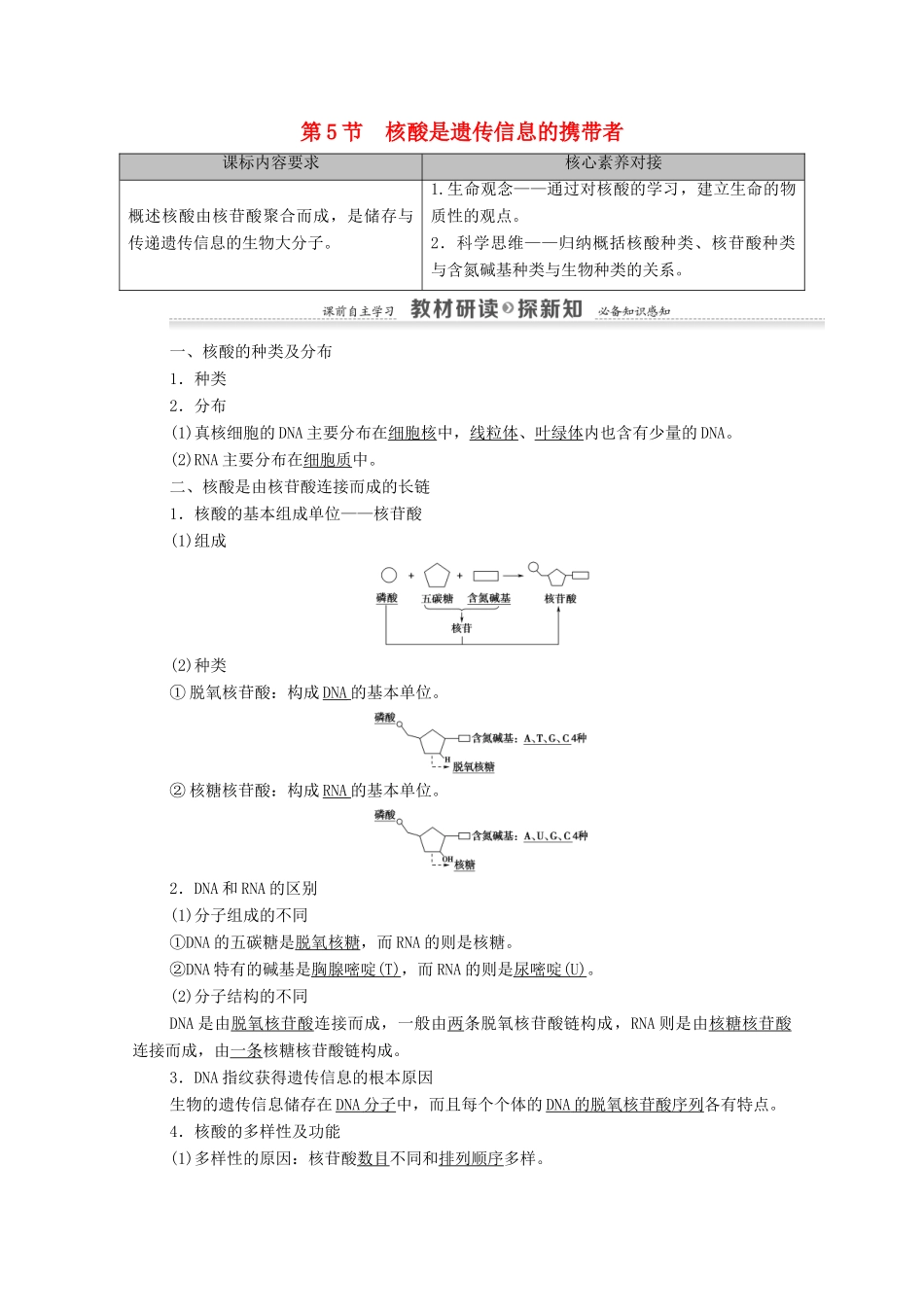 高中生物 第2章 组成细胞的分子 第5节 核酸是遗传信息的携带者学案 新人教版必修1-新人教版高中必修1生物学案_第1页