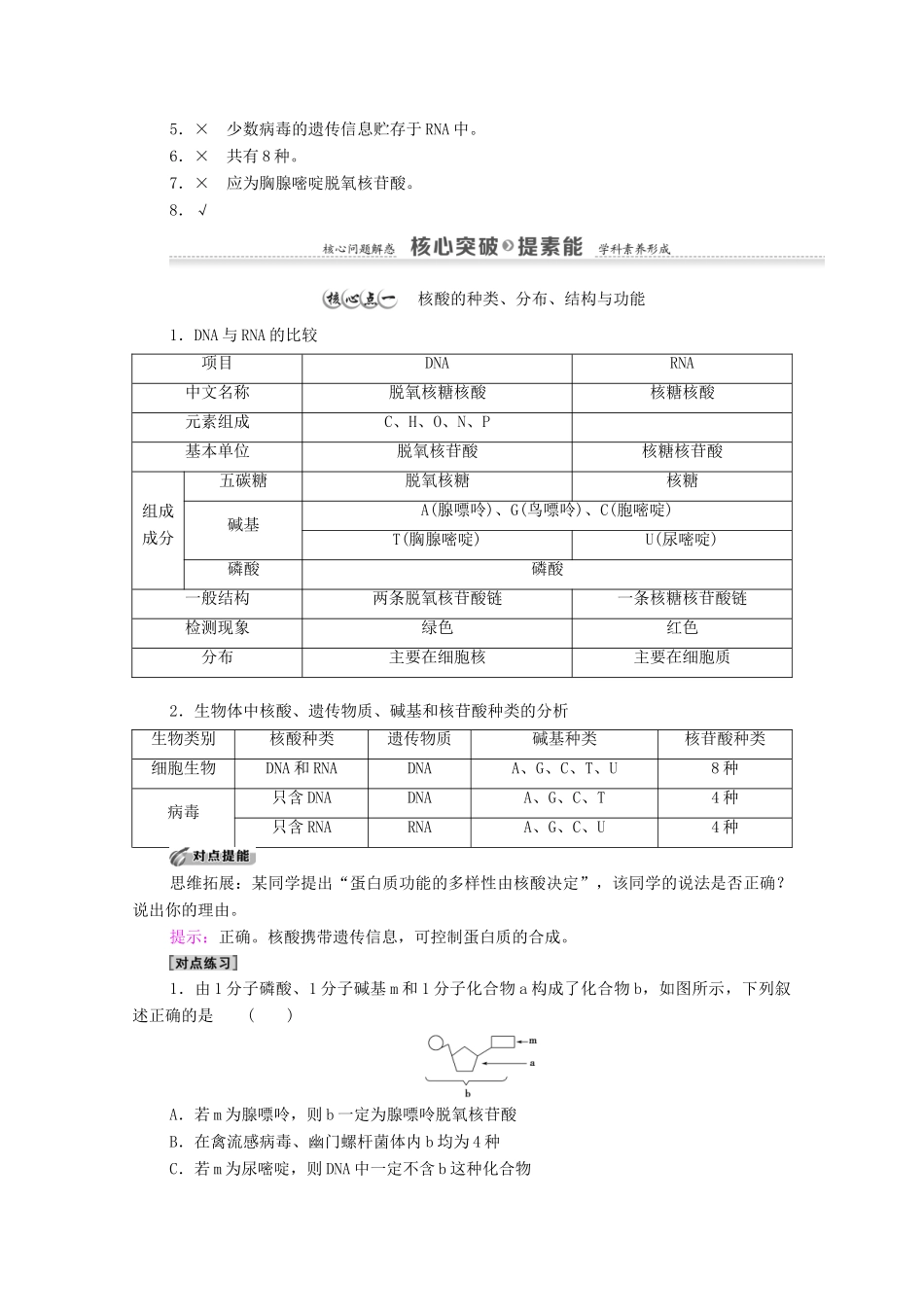 高中生物 第2章 组成细胞的分子 第5节 核酸是遗传信息的携带者学案 新人教版必修1-新人教版高中必修1生物学案_第3页