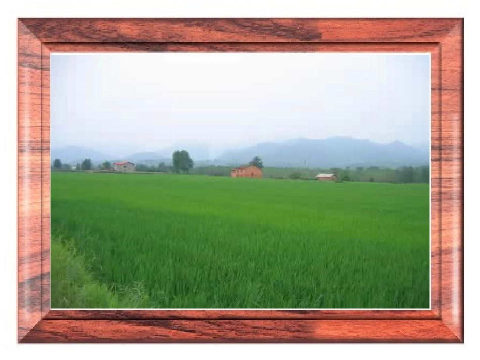 西师版第六册第三十五课_第2页