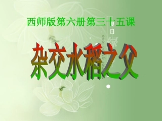 西师版第六册第三十五课
