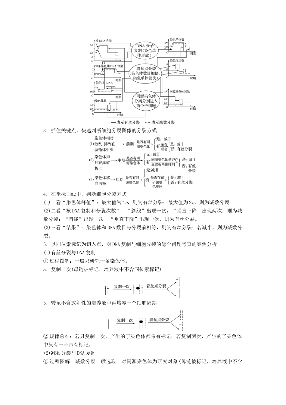 （江苏专用）高考生物二轮复习 专题三 细胞的生命历程 考点9 细胞分裂过程图像和坐标曲线的识别学案-人教版高三全册生物学案_第2页