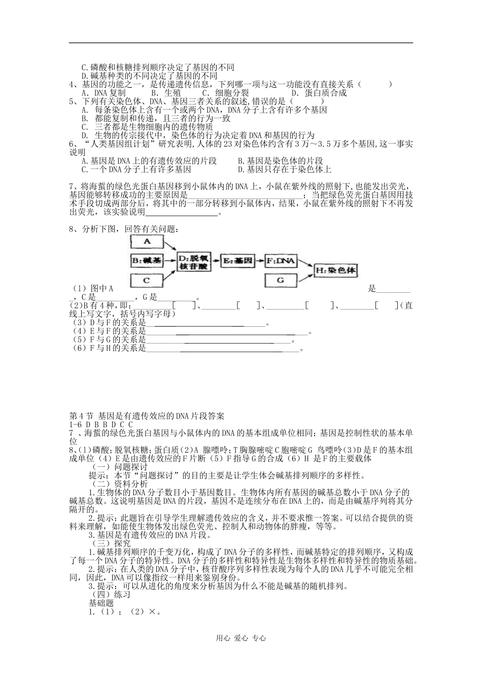 高一生物：3.4《基因是有遗传效应的DNA片段》学案新人教版_第2页