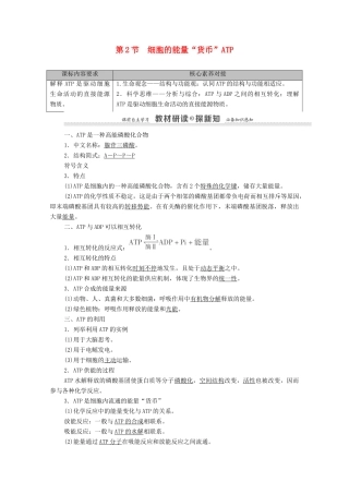 高中生物 第5章 细胞的能量供应和利用 第2节 细胞的能量“货币”ATP学案 新人教版必修1-新人教版高中必修1生物学案