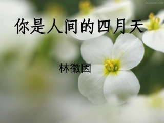 美文朗诵《你是人间的四月天》